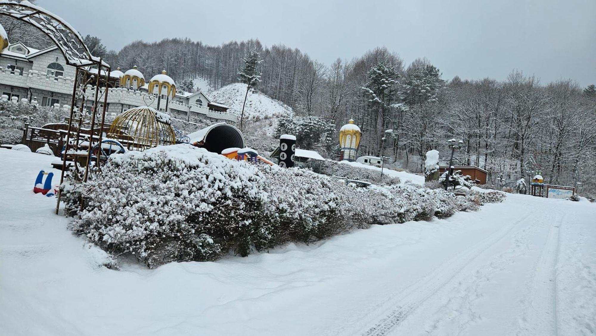 Elf Resort Hotel Pyeongchang Exterior foto